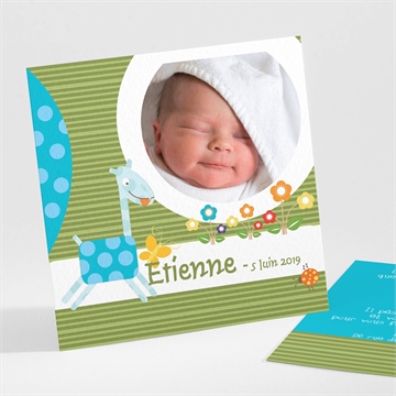 Faire-part naissance